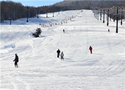 冬のスキー場